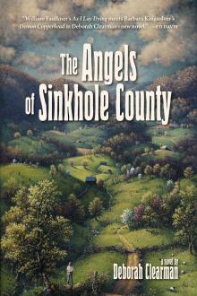 The Angels of Sinkhole County book cover
