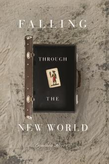 Falling Through the New World book cover