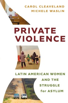 Private Violence book cover