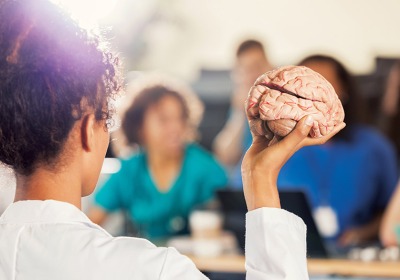 Instructor holding model of brain.