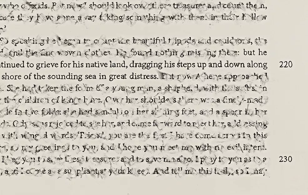 detail of work by artist Bethany Collins. Zoomed in to reveal erasure of text and remaining text "“but he continued to grieve for his native land, dragging his steps up and down along the shore of the sounding sea in great distress.” 