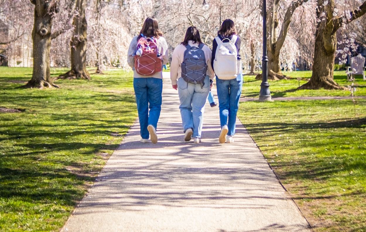 Three Students Walking Among Cherry Blossoms