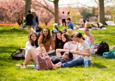 students enjoying the sunny weather on Merion Green