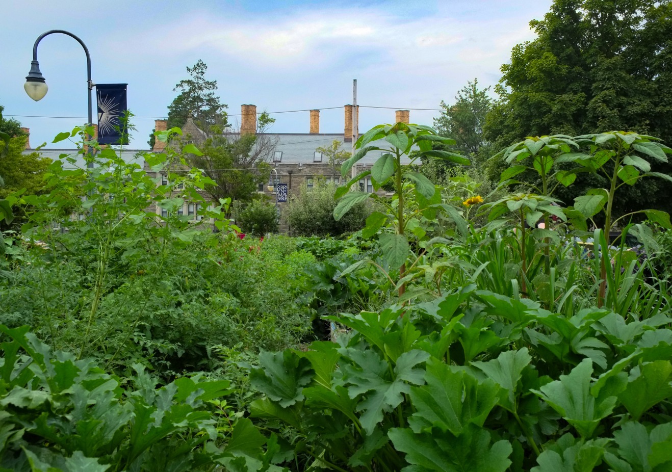 Community Garden