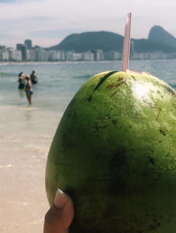 Coconut on beach in Brazil  