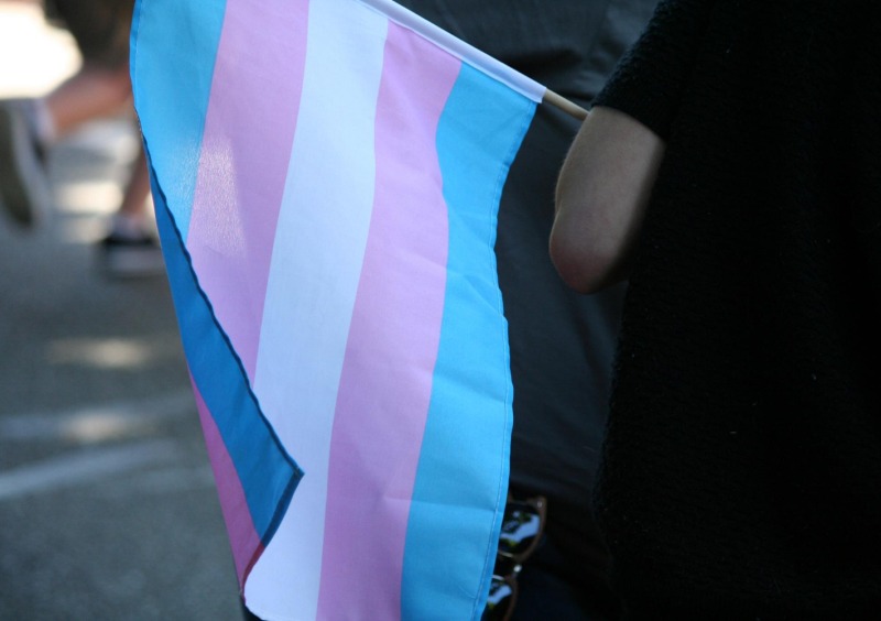 Transpride flag