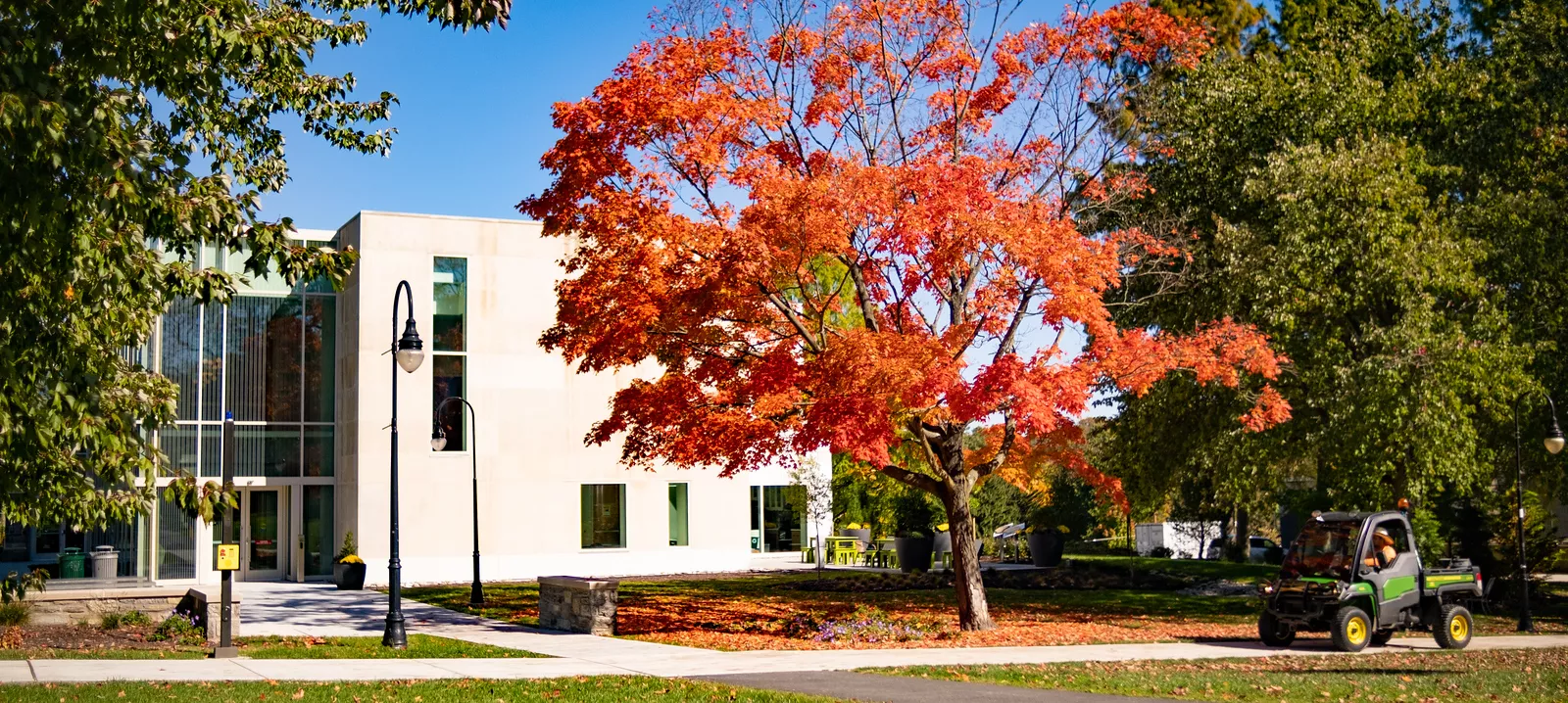 The Well exterior with a tree with red leaves on the front lawn.