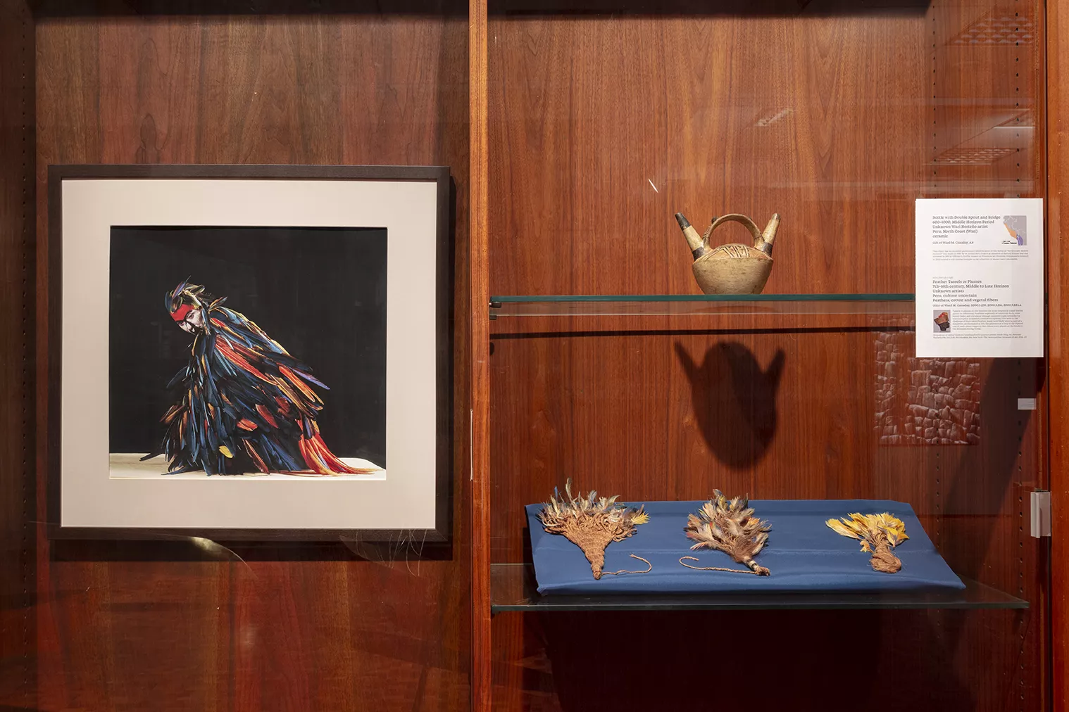 View of Parrot with artifacts, Not At Home exhibition