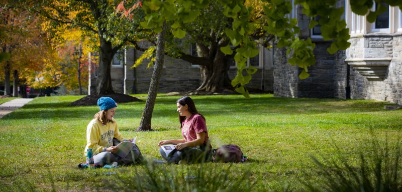 students sitting in grass studying