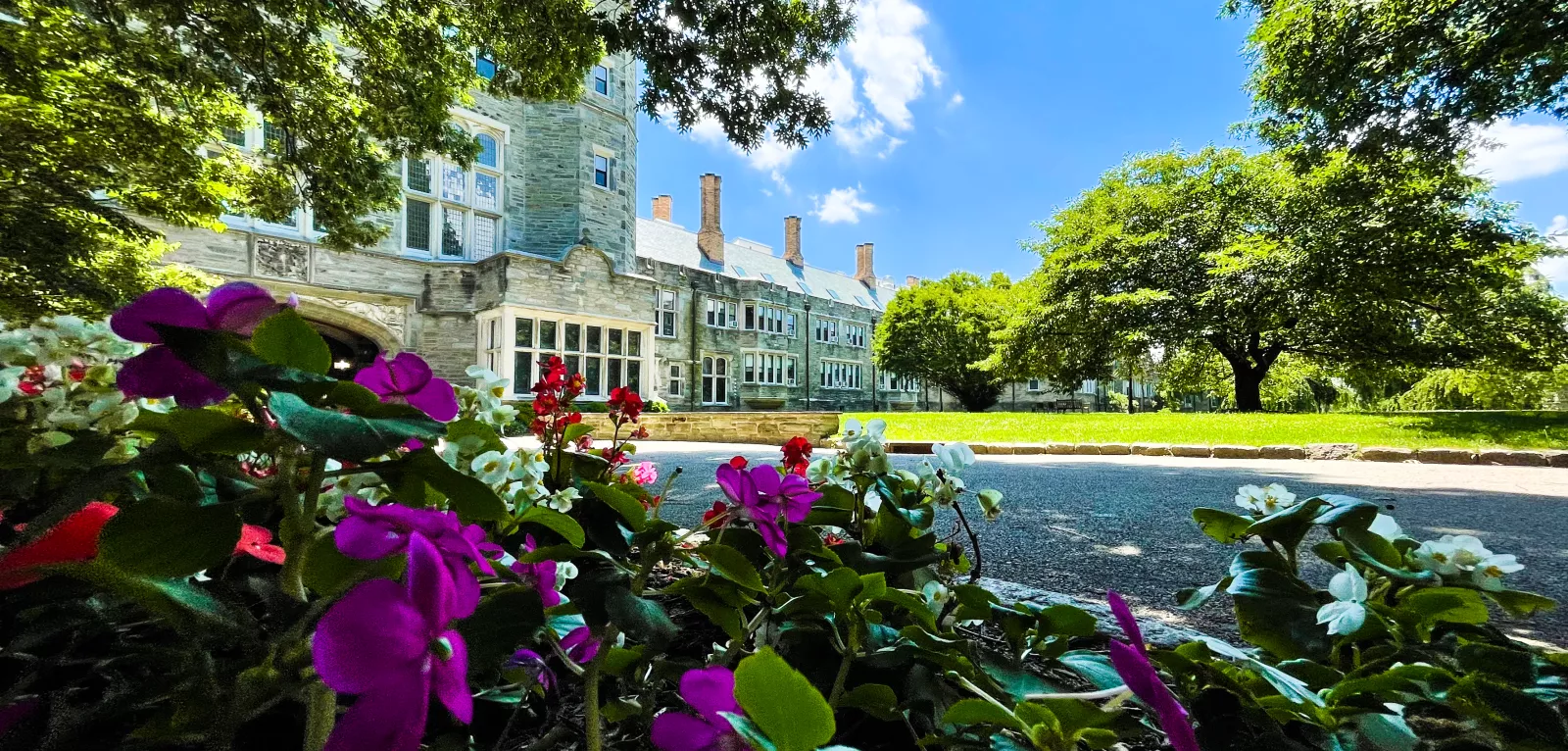 flowers on campus