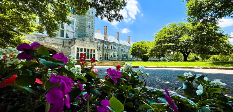 flowers on campus