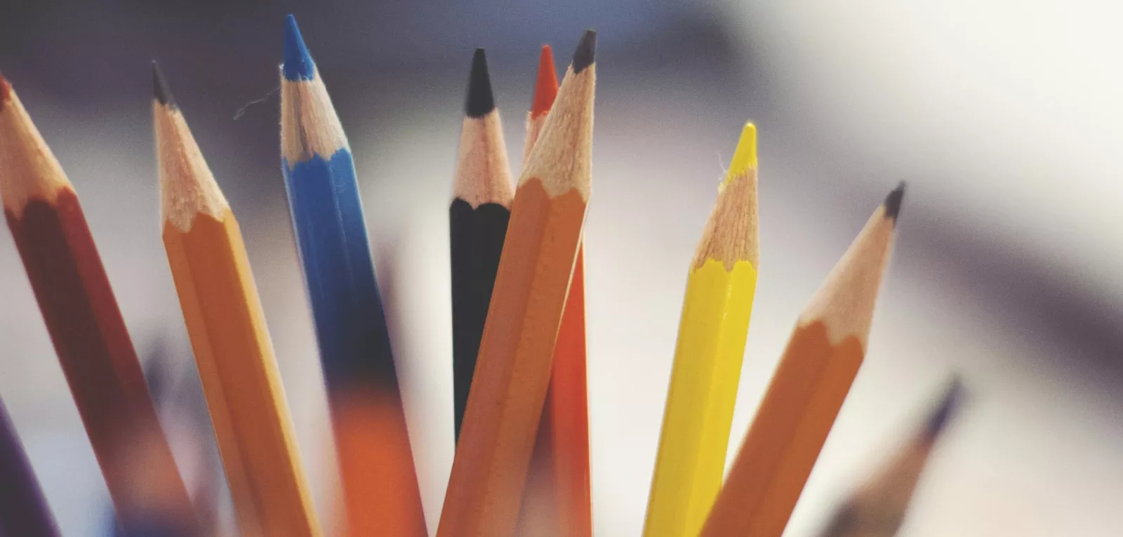 pencils in a cup