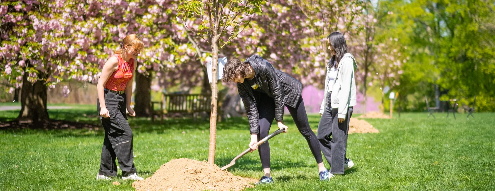 Three students standing next to a tree