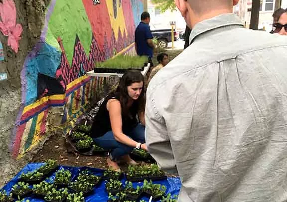 Amy Stein working with seedlings at a community garden