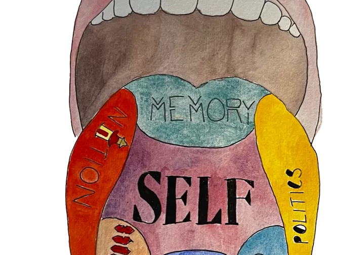 A hand-drawn open mouth with a tounge sticking out. The tounge is divided into colored sections labeled clockwise from left "nation", "memory", "politics", "class", "history", "culture", and at the center, "self".