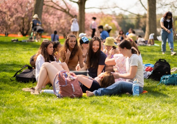 Students having a picnic at the Slides and Slides event