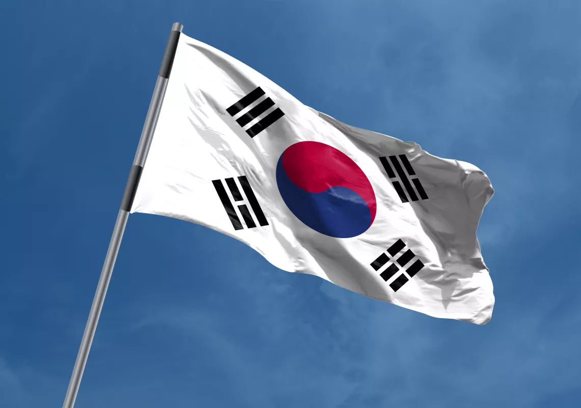 south-korea-flag-waving stock