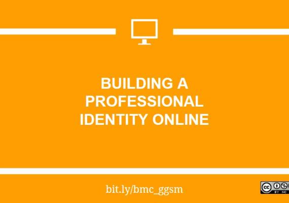 Building a Professional Identity Online