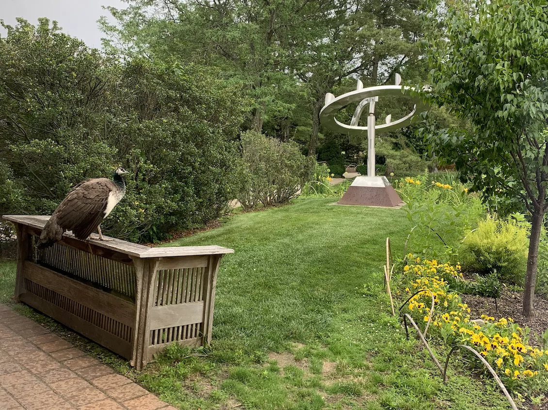 Sculpture in a park and a peacock. 