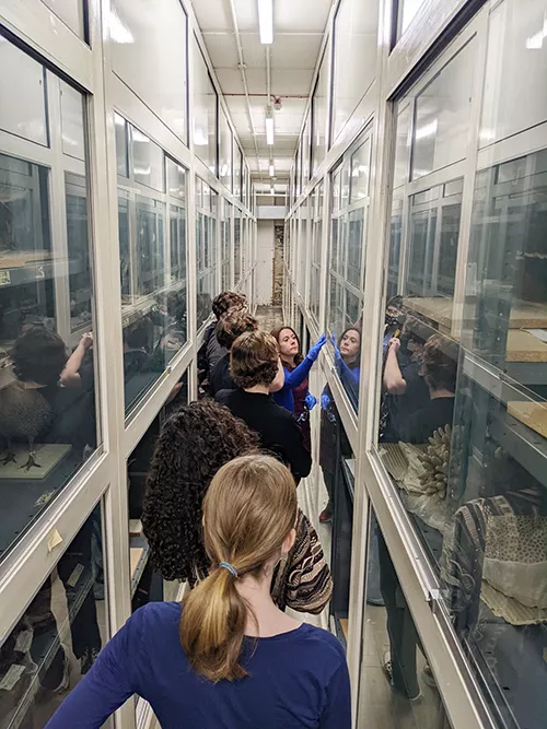  Biology curator Rhian Rowson and students in the stores of the Bristol Museum. 