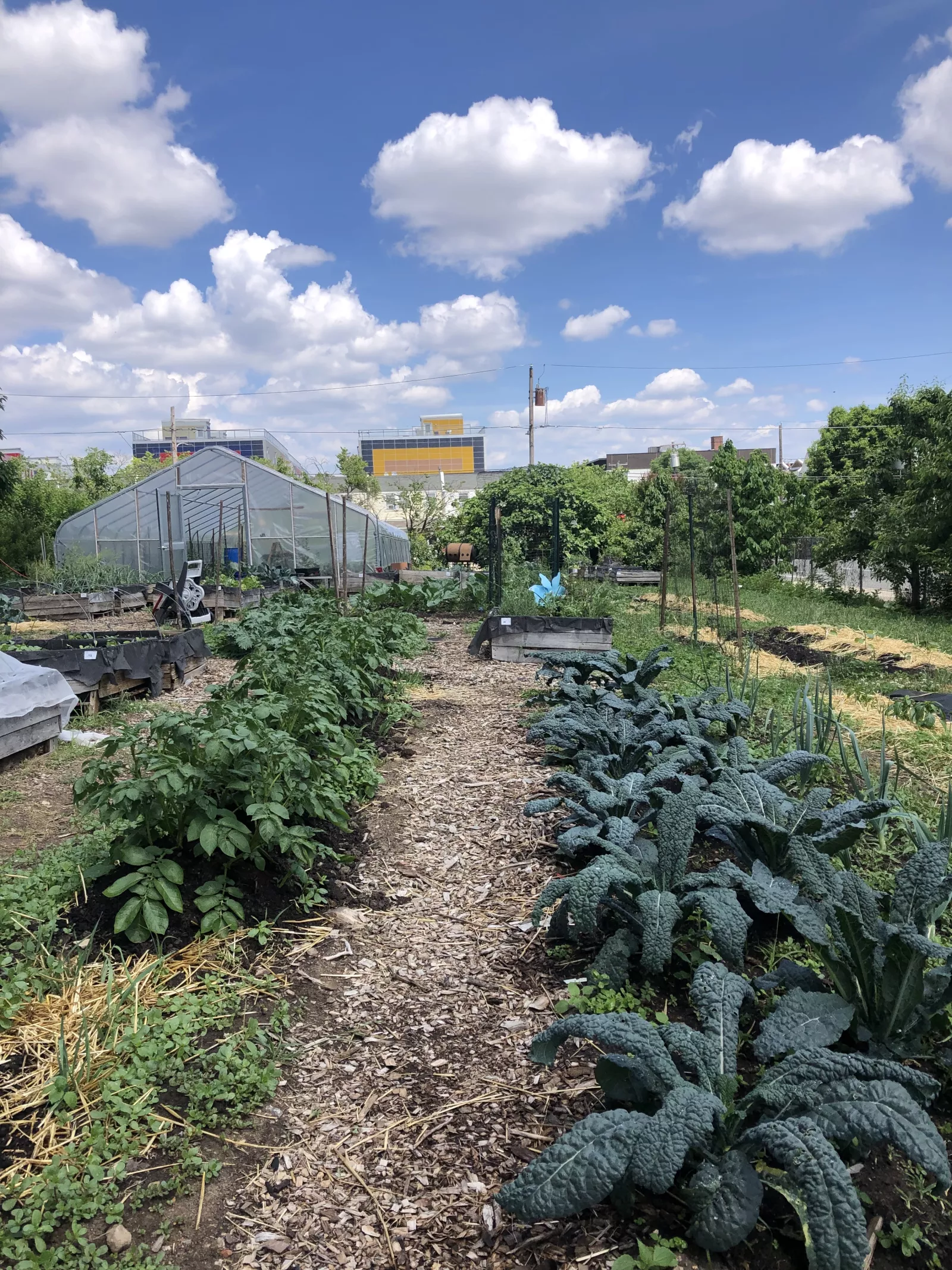 Mill Creek Urban Farm