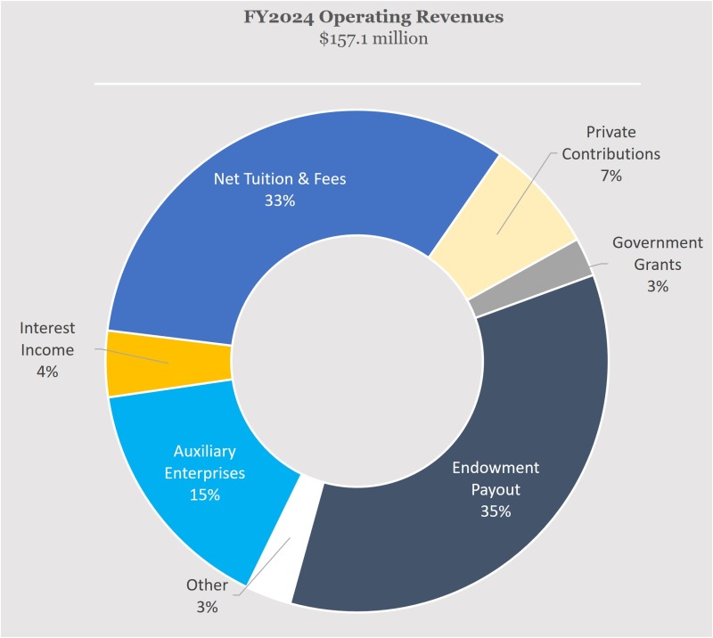 Chart of FY24 revenues