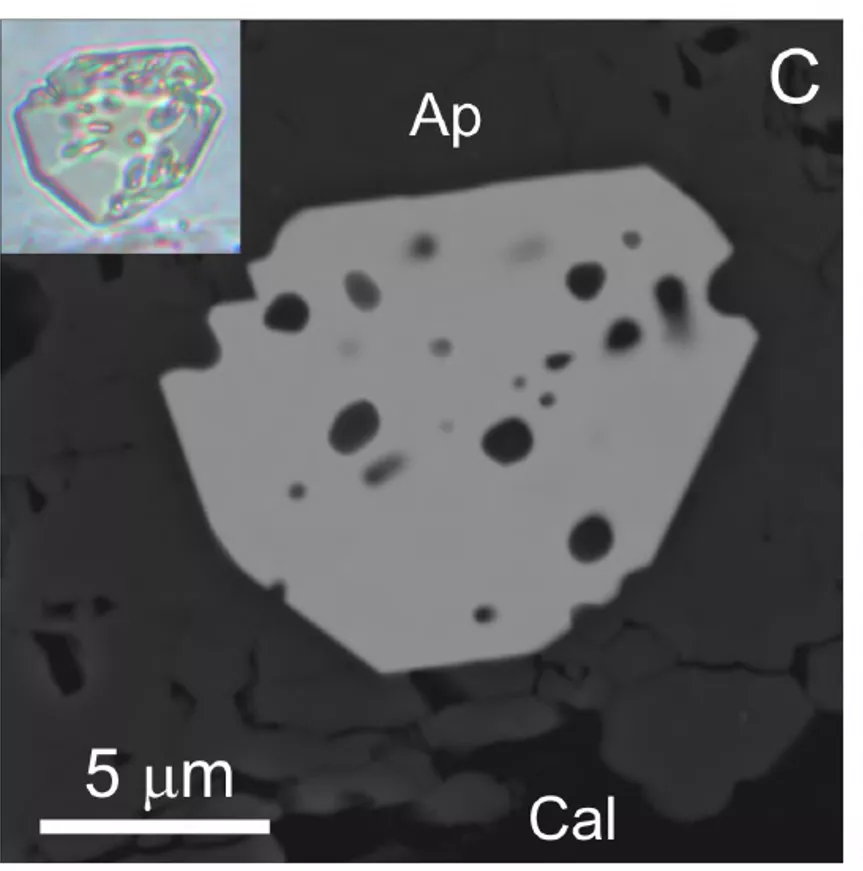 An image of back-scattered electrons off of the new mineral (optical view of the mineral in insert).… An image of back-scattered electrons off of the new mineral (optical view of the mineral in insert).…
