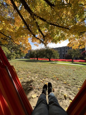  Enjoying the hammocks along Senior Row on an autumn afternoon. 